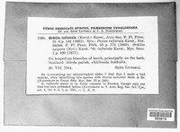Image Associated With the Occurence
